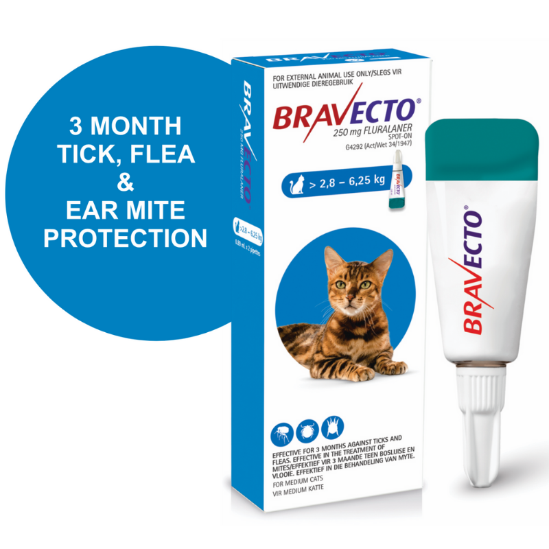 Bravecto Spot On Cat 2.86.25kg Noag Online Shop