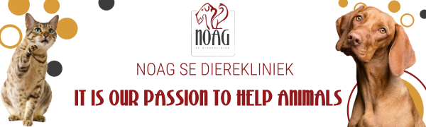 NOAG ANIMAL CLINIC intelligence overview